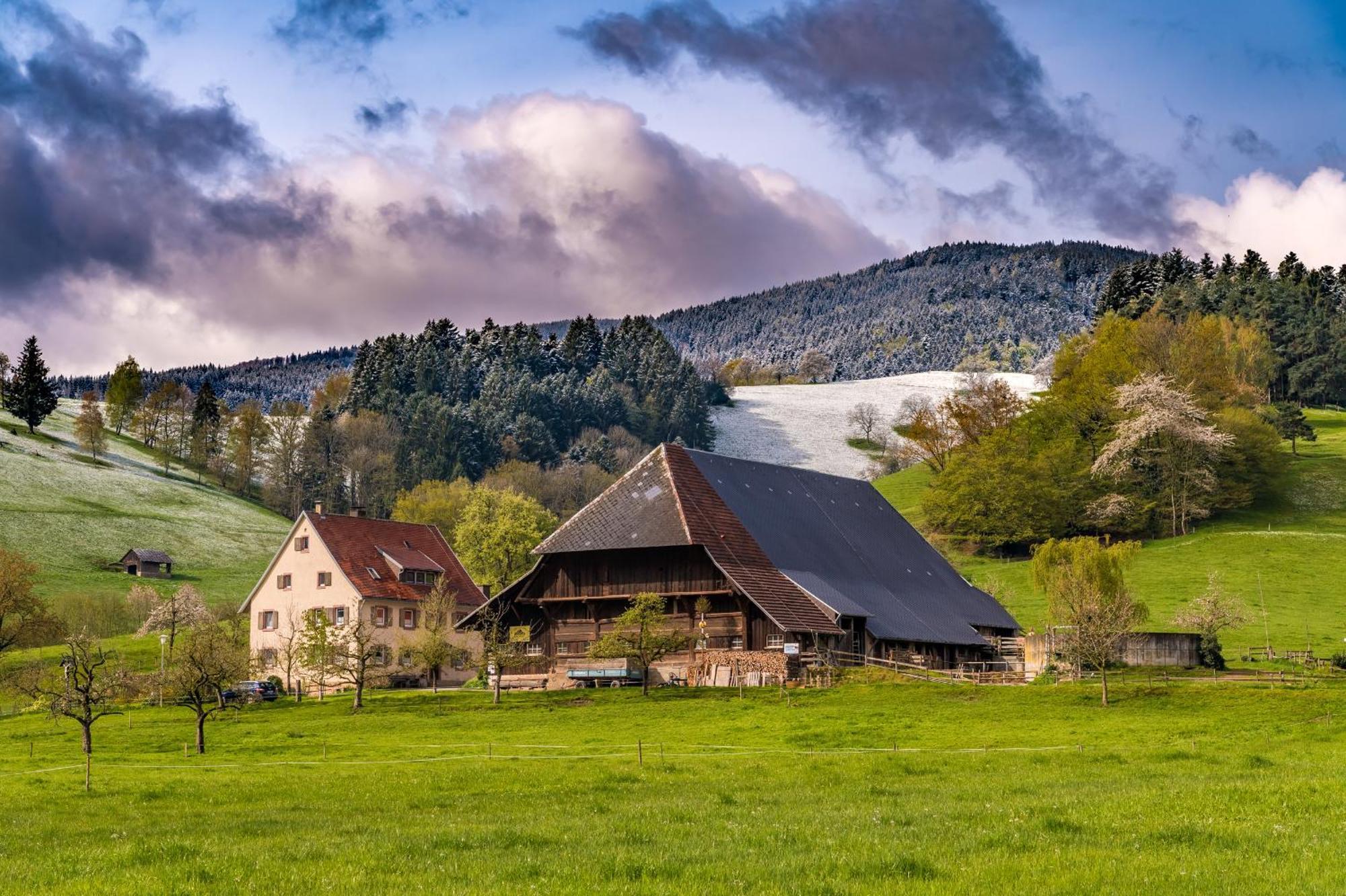 Ferienwohnung Sunneschii, Höchenschwand Exterior foto